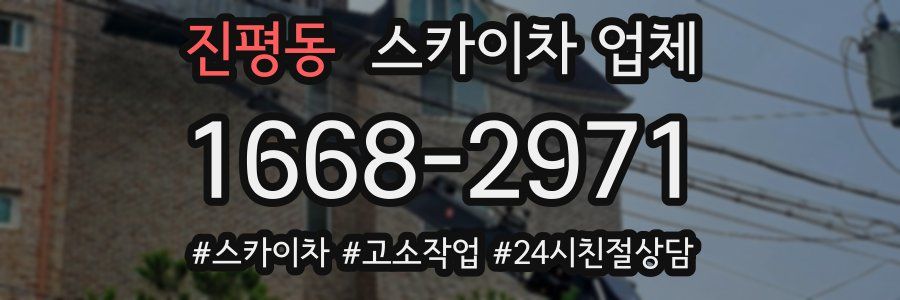 진평동 스카이차 업체