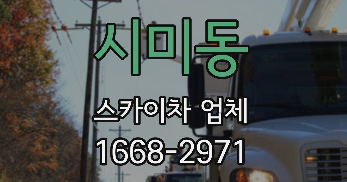 시미동 스카이차 업체