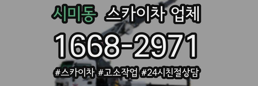 시미동 스카이차 업체