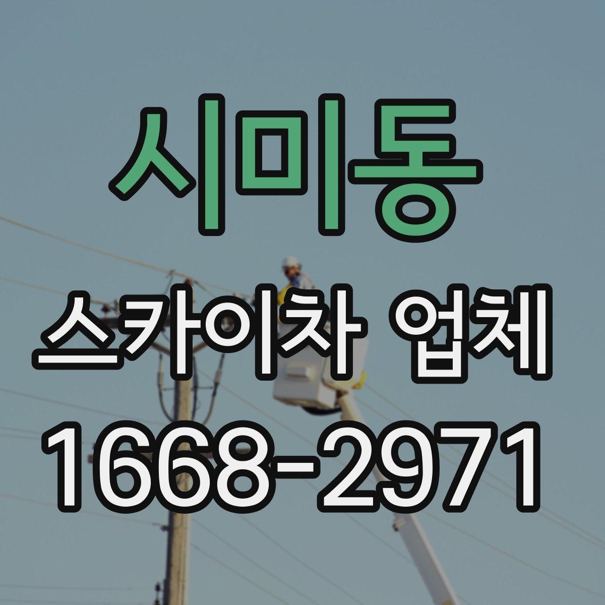 시미동 스카이차 업체