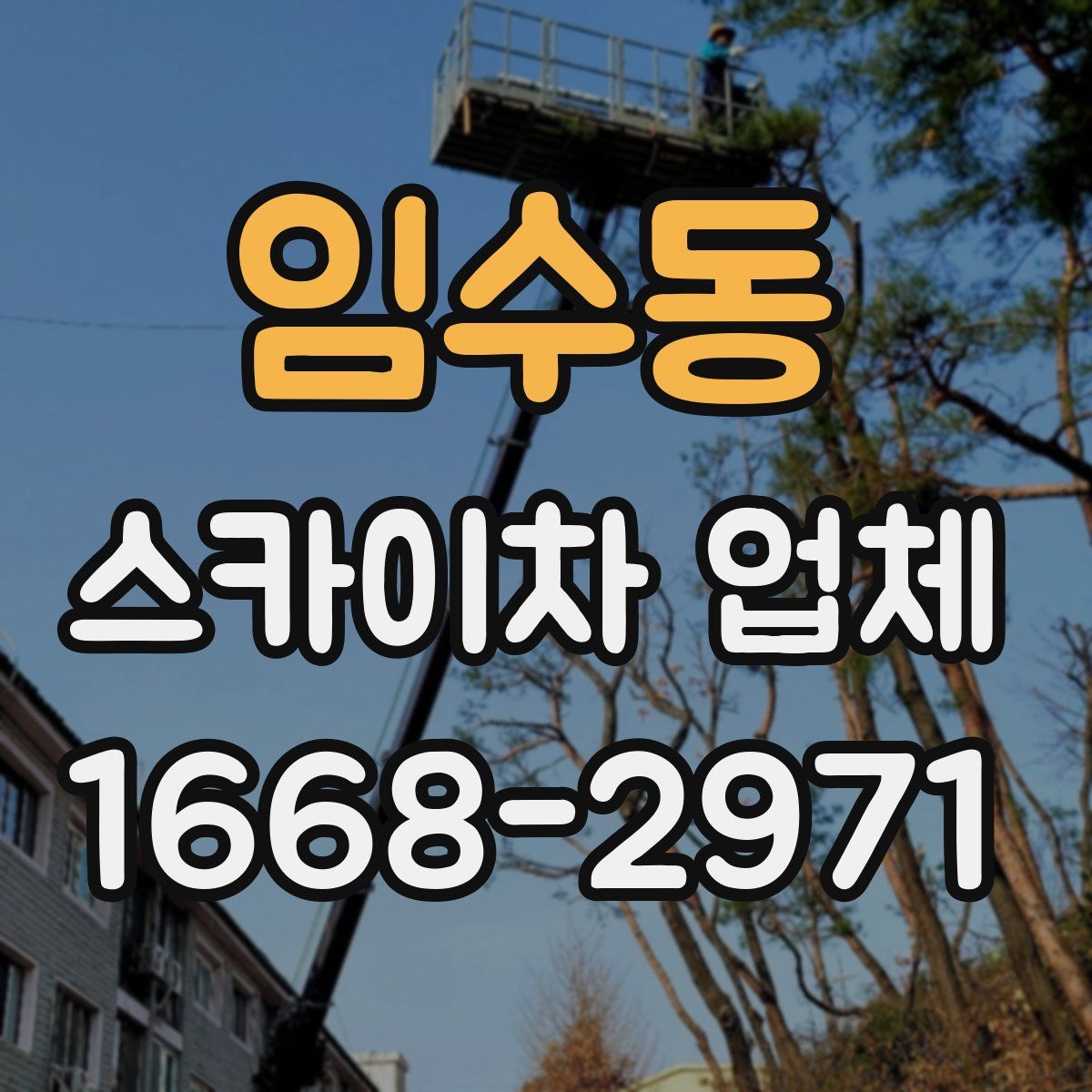 임수동 스카이차 업체