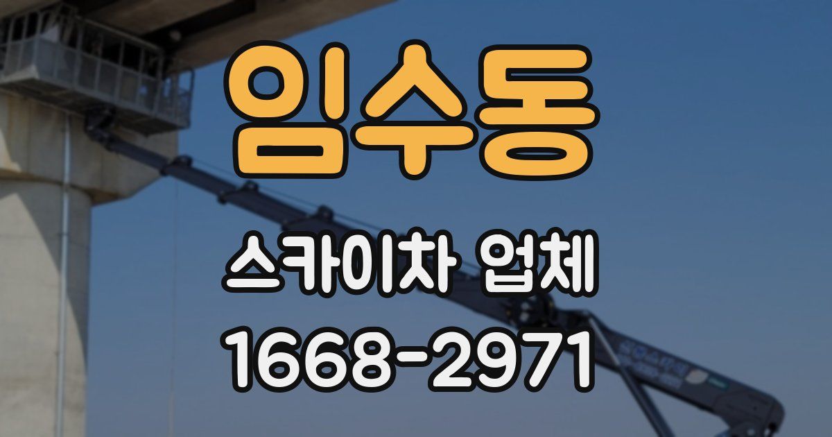 임수동 스카이차 업체