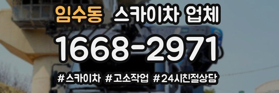 임수동 스카이차 업체