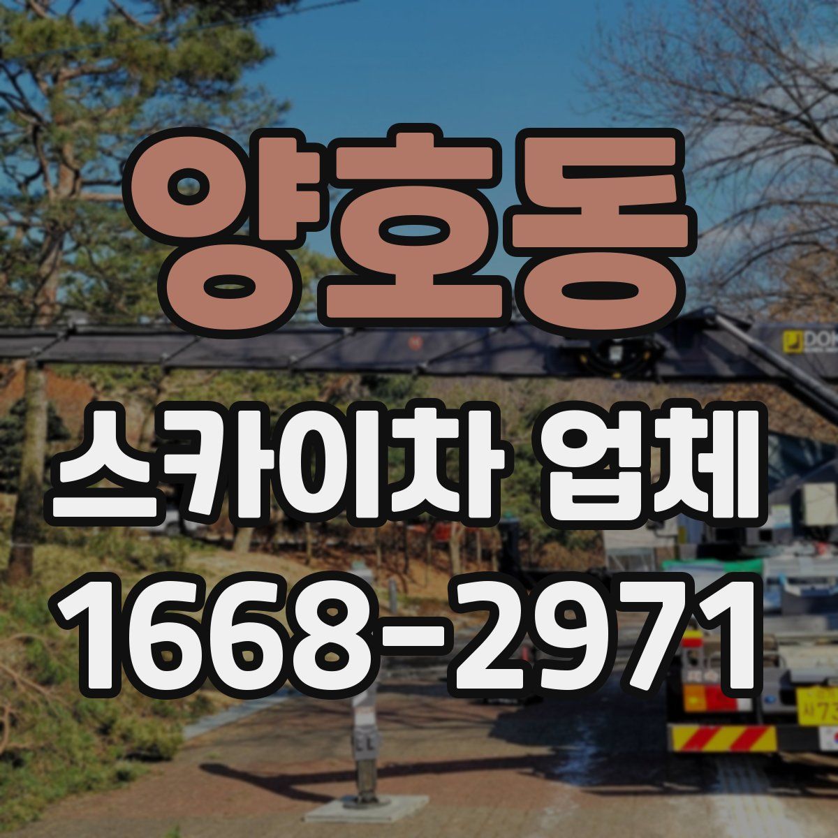 양호동 스카이차 업체