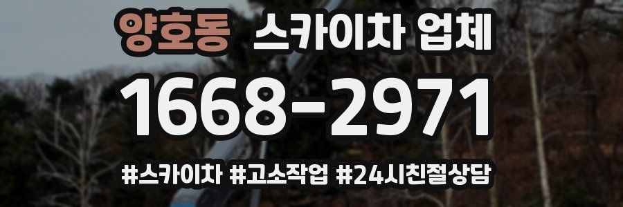 양호동 스카이차 업체