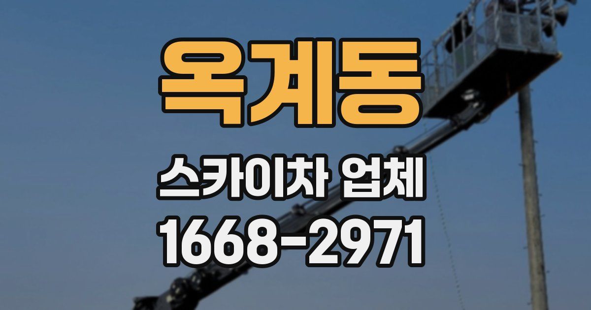 옥계동 스카이차 업체
