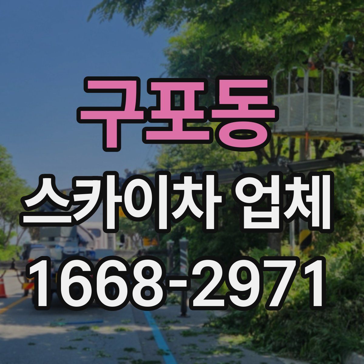 구포동 스카이차 업체