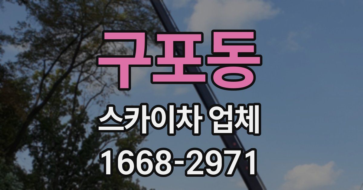 구포동 스카이차 업체