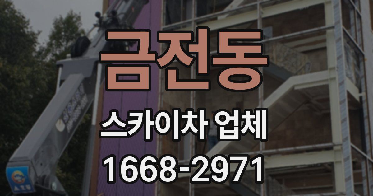 금전동 스카이차 업체