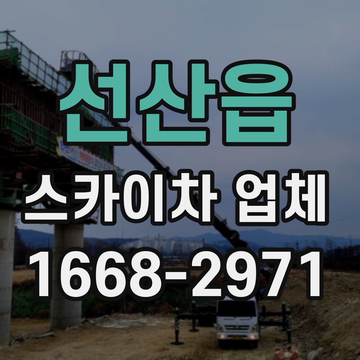 선산읍 스카이차 업체