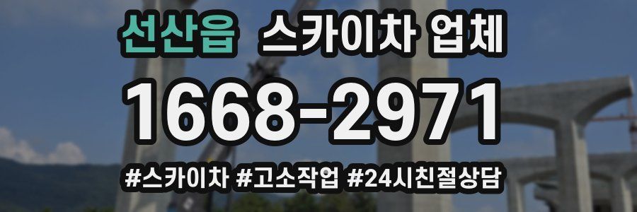 선산읍 스카이차 업체