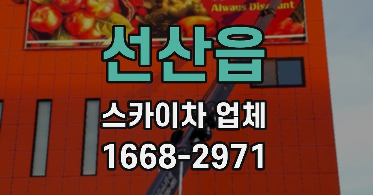 선산읍 스카이차 업체