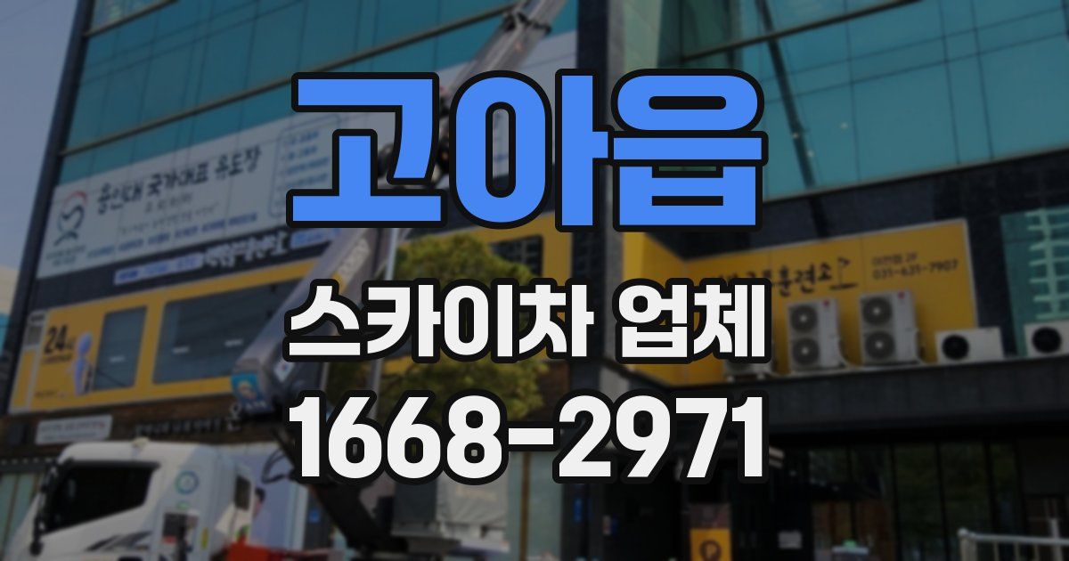 고아읍 스카이차 업체