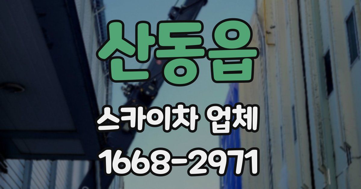 산동읍 스카이차 업체
