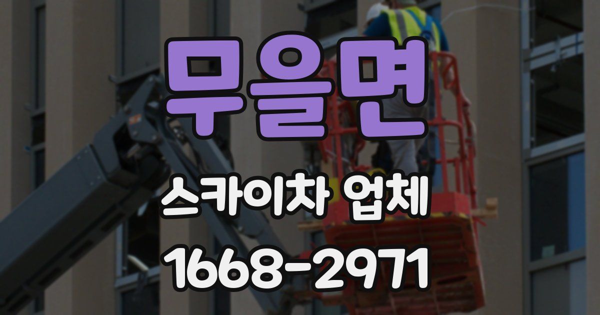 무을면 스카이차 업체