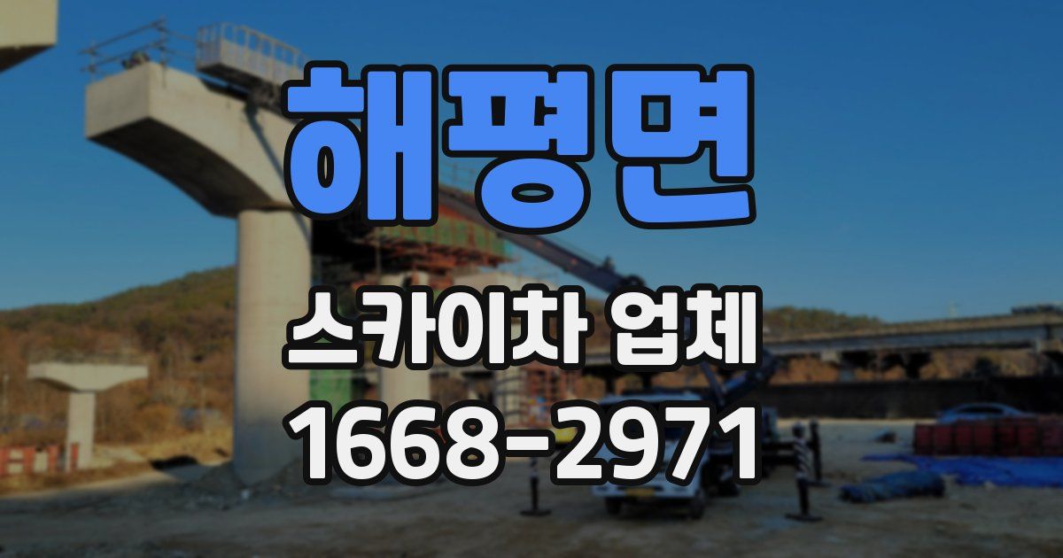 해평면 스카이차 업체