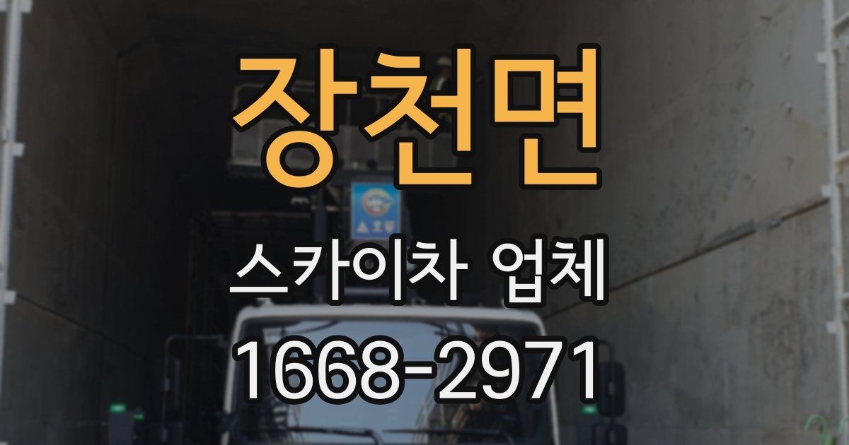 장천면 스카이차 업체