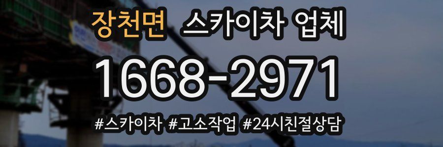 장천면 스카이차 업체
