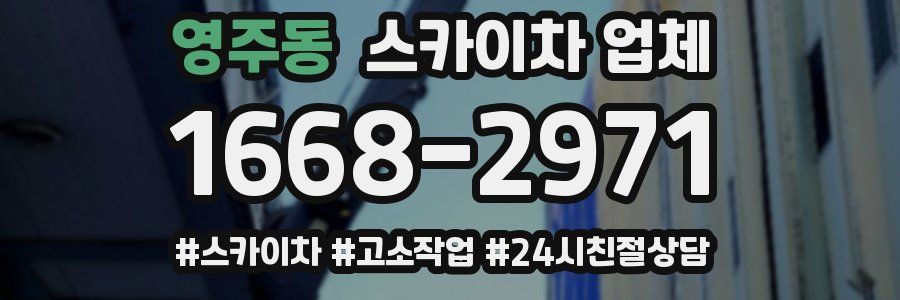 영주동 스카이차 업체