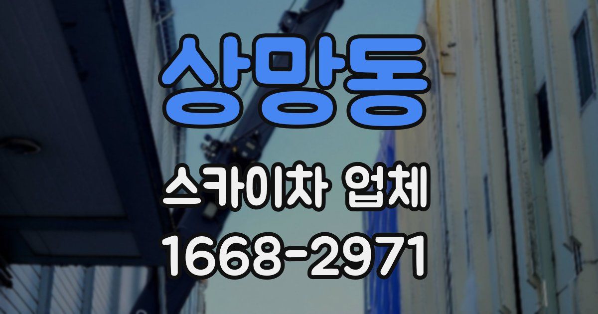 상망동 스카이차 업체
