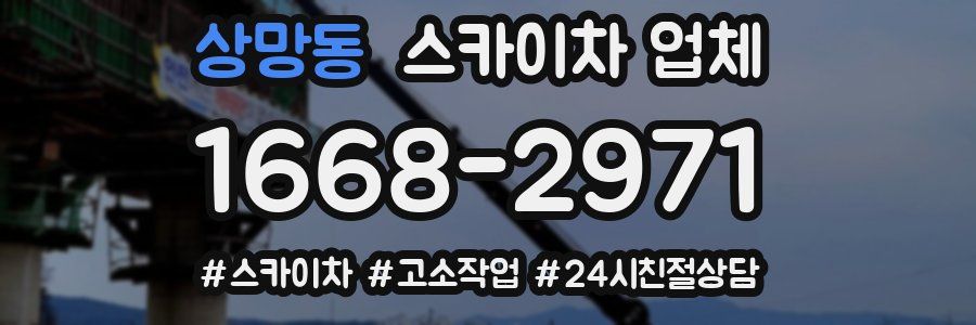 상망동 스카이차 업체