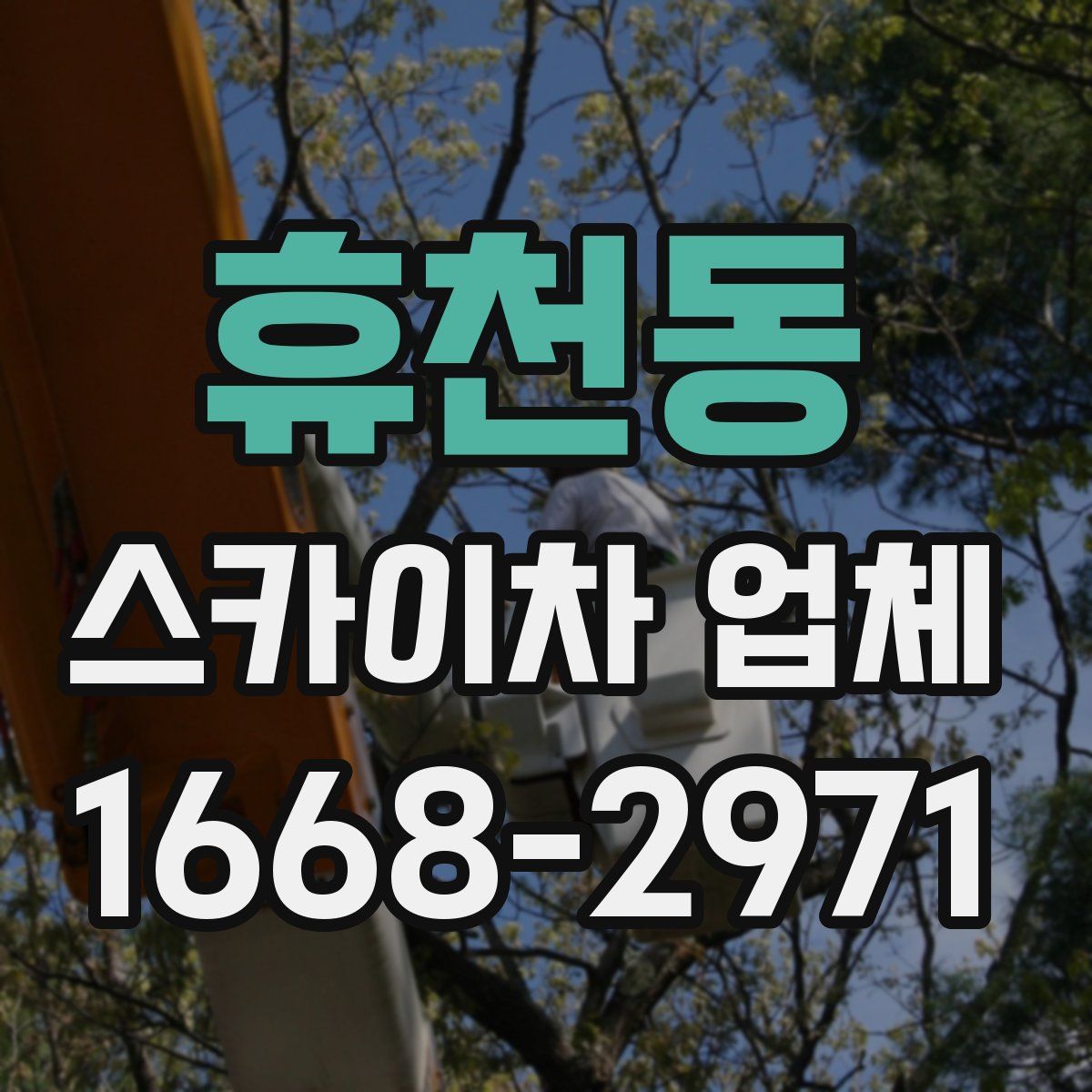 휴천동 스카이차 업체