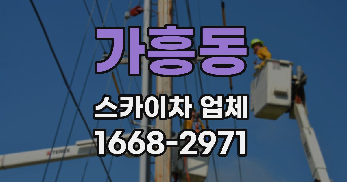 가흥동 스카이차 업체