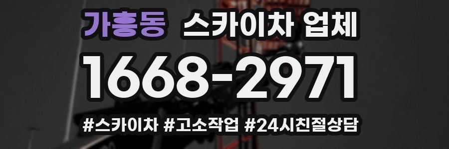가흥동 스카이차 업체