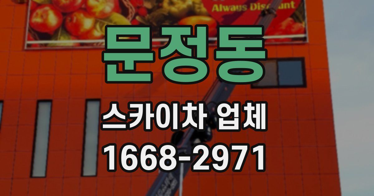 문정동 스카이차 업체