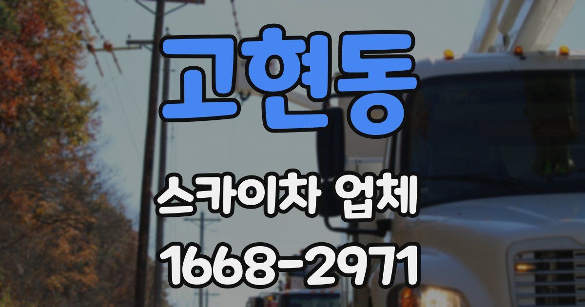 고현동 스카이차 업체