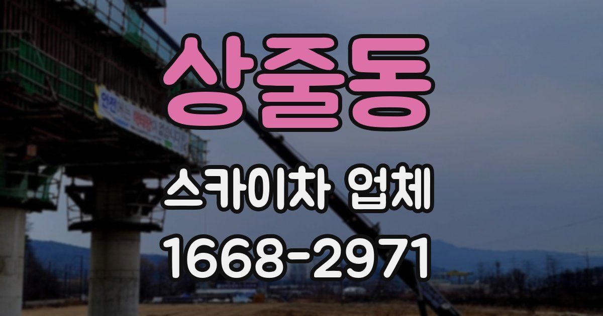 상줄동 스카이차 업체
