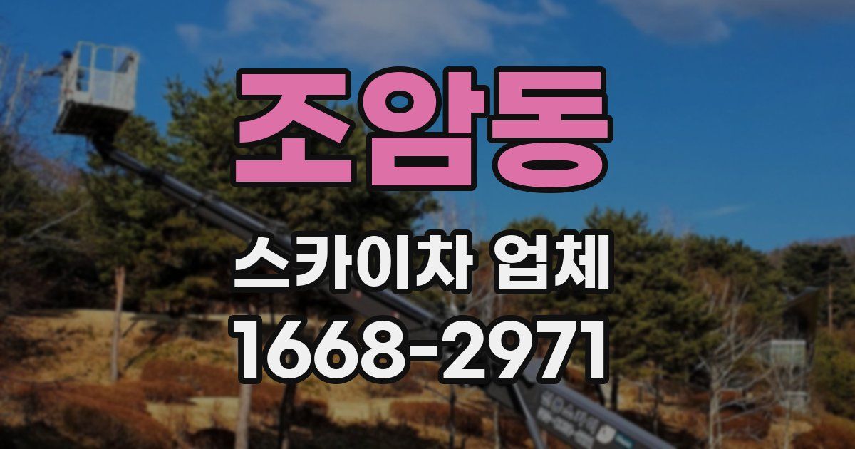 조암동 스카이차 업체