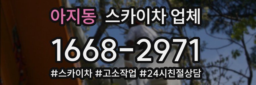 아지동 스카이차 업체