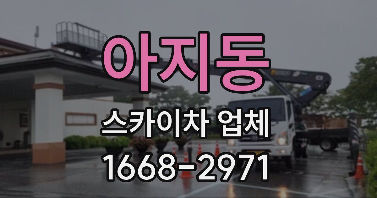 아지동 스카이차 업체
