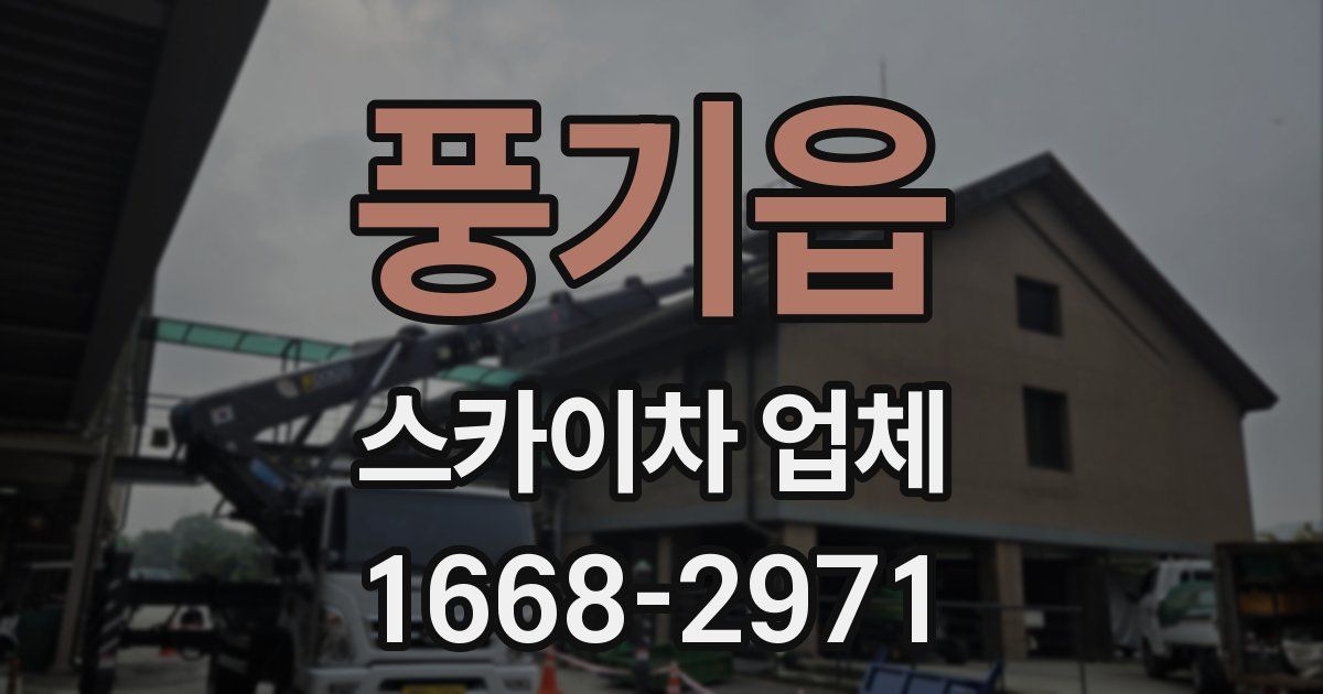 풍기읍 스카이차 업체