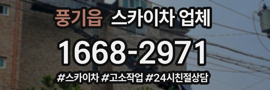 풍기읍 스카이차 업체