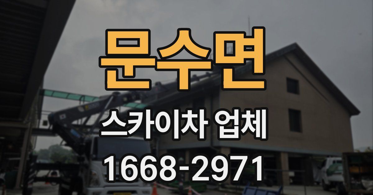 문수면 스카이차 업체