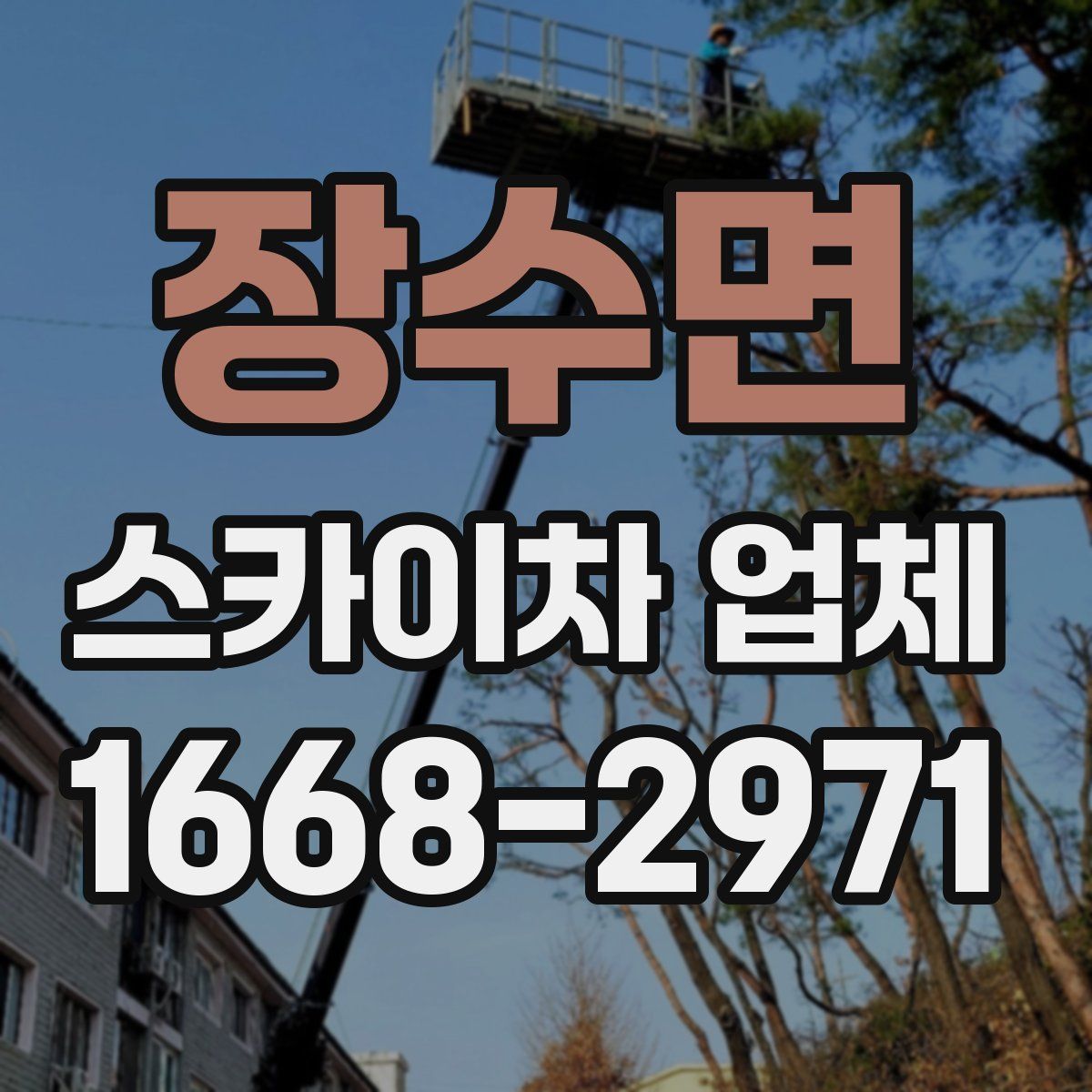 장수면 스카이차 업체