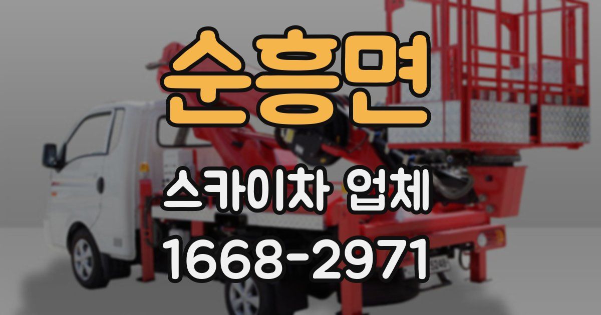순흥면 스카이차 업체