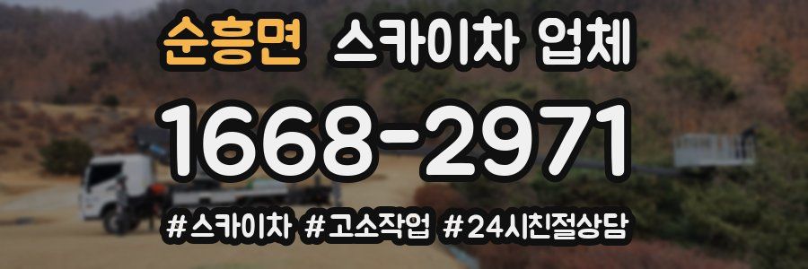 순흥면 스카이차 업체