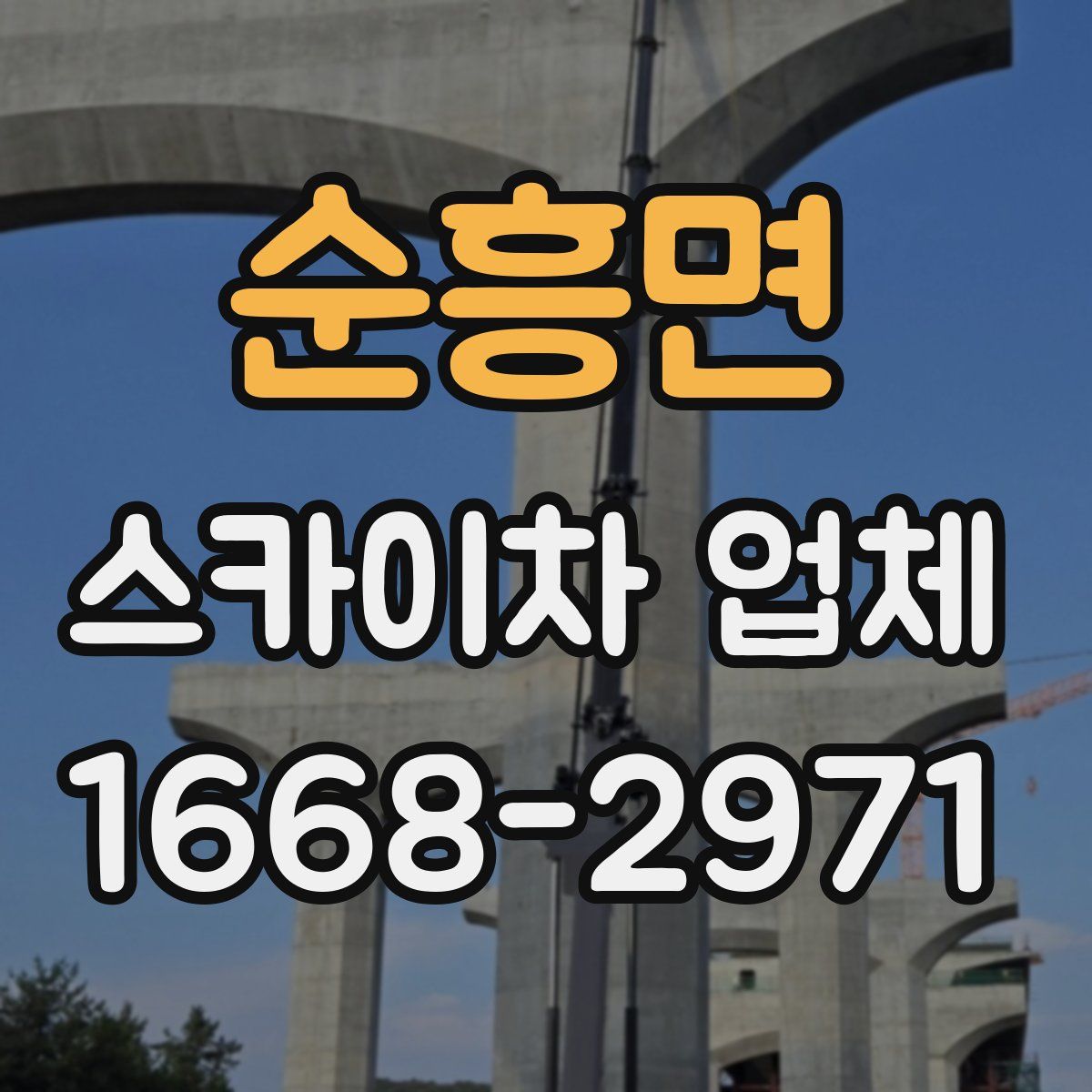 순흥면 스카이차 업체