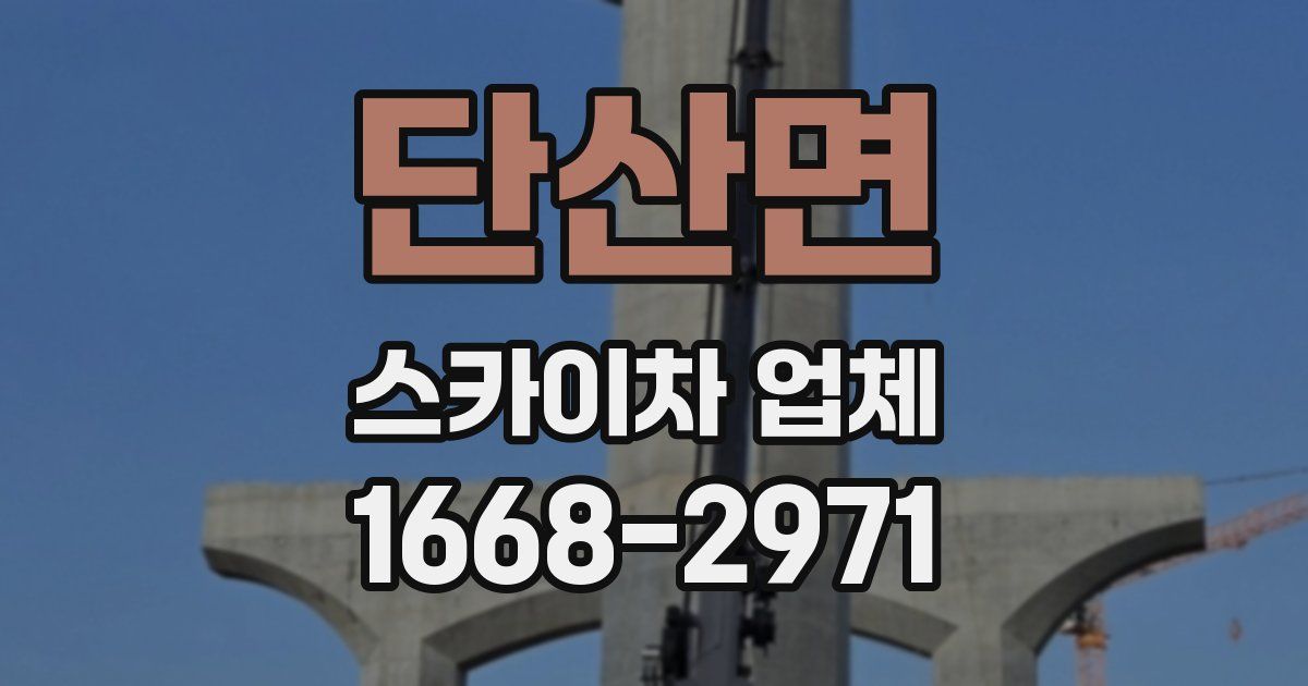 단산면 스카이차 업체