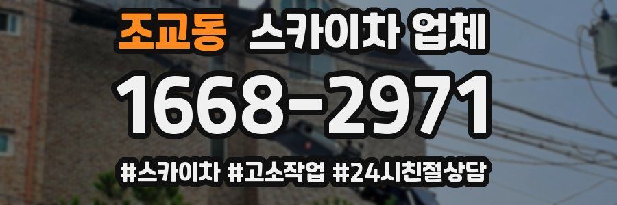조교동 스카이차 업체