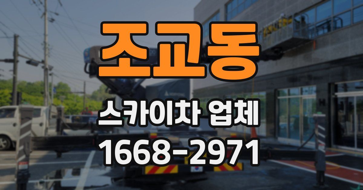조교동 스카이차 업체