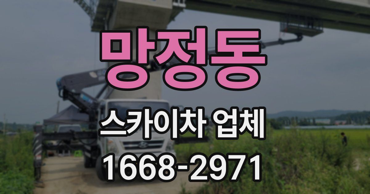 망정동 스카이차 업체