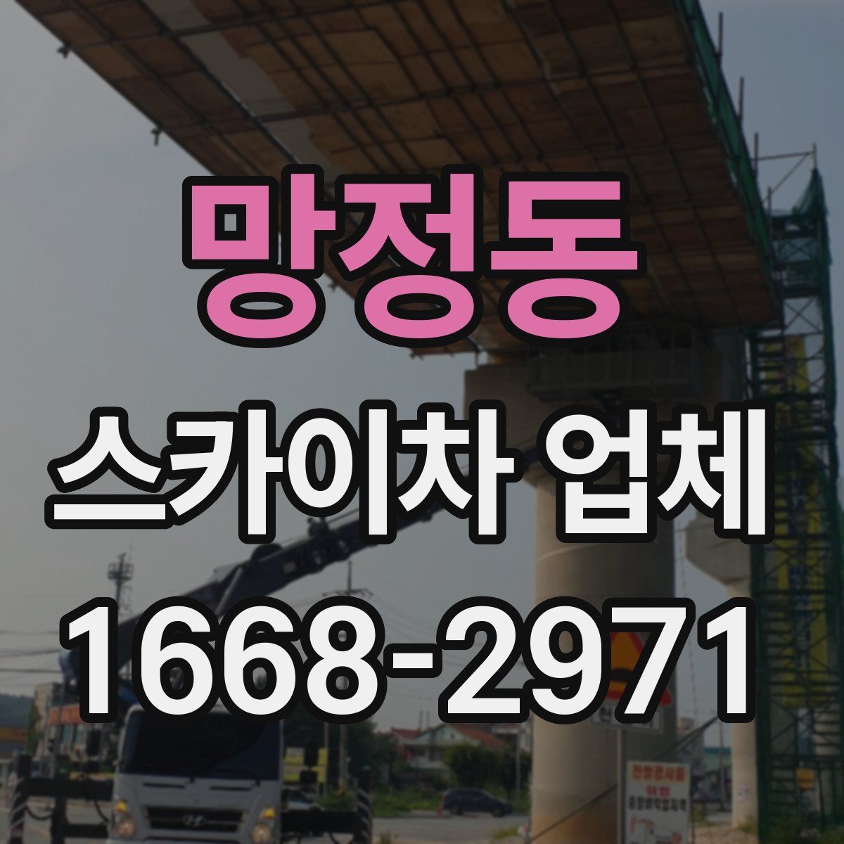 망정동 스카이차 업체