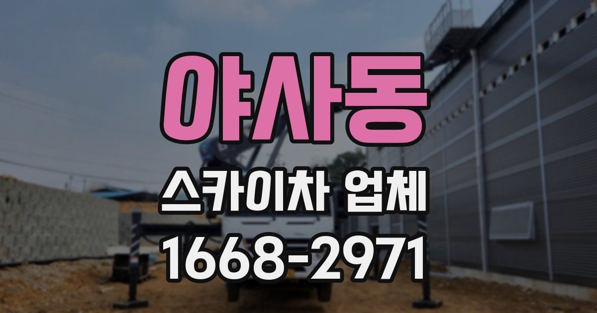 야사동 스카이차 업체
