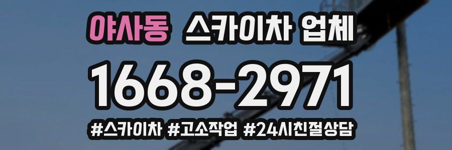 야사동 스카이차 업체