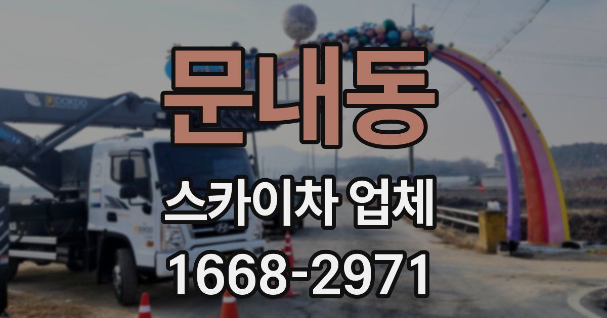 문내동 스카이차 업체
