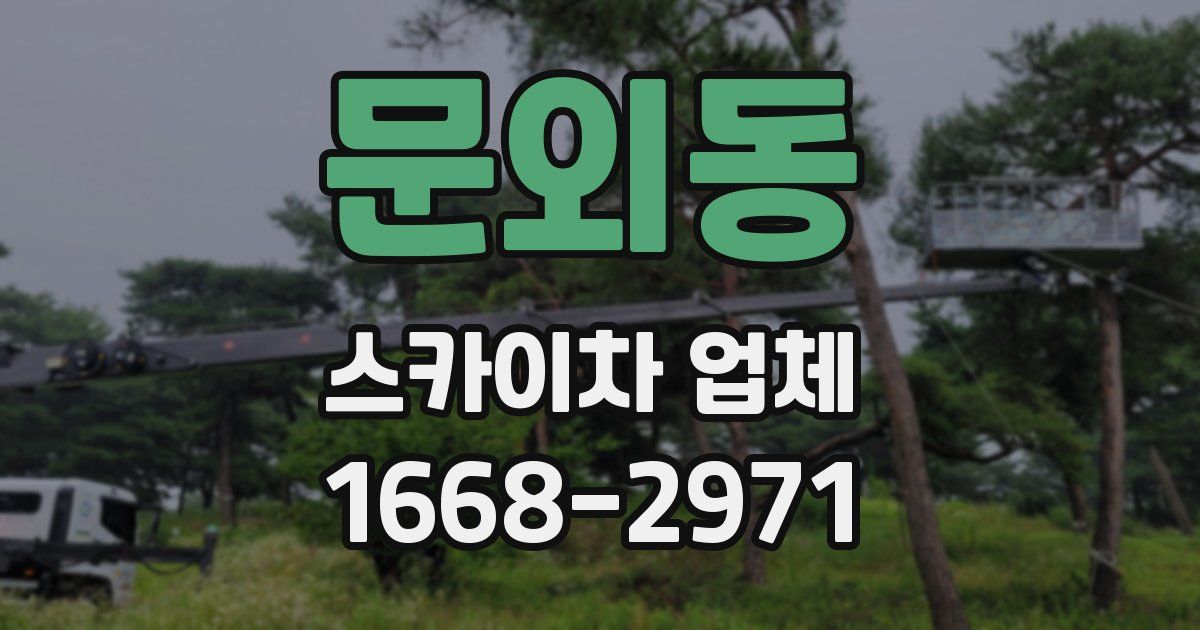 문외동 스카이차 업체